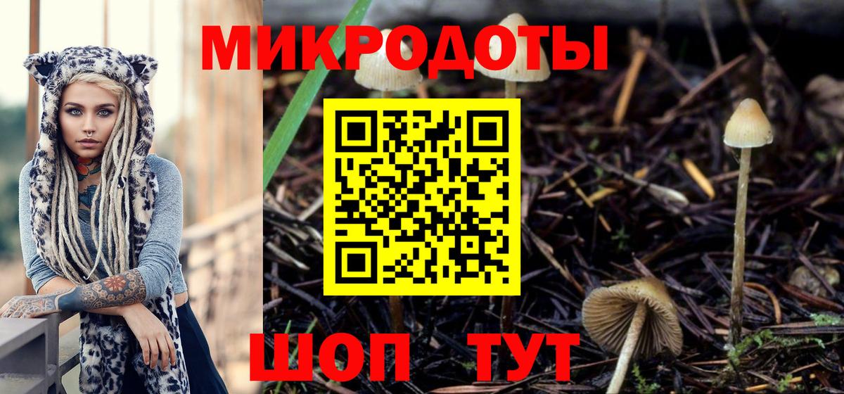 Галлюциногенные грибы MAGIC MUSHROOMS  Псилоцибиновые грибы Magic Shrooms  купить   Вход с VPN  Тайшет 